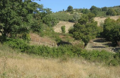 Blick nach Norden