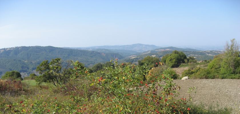 Blick nach Süden
