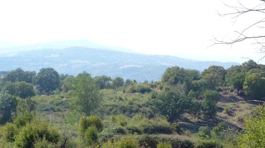 Blick zum Hügel aus Norden