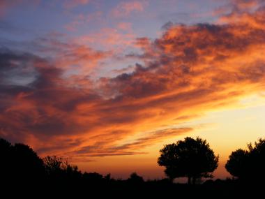 dramatischer Sonnenuntergang mit Baum