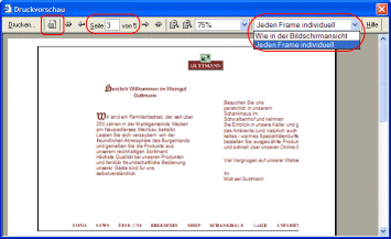 Druckvorschau mit Frames
